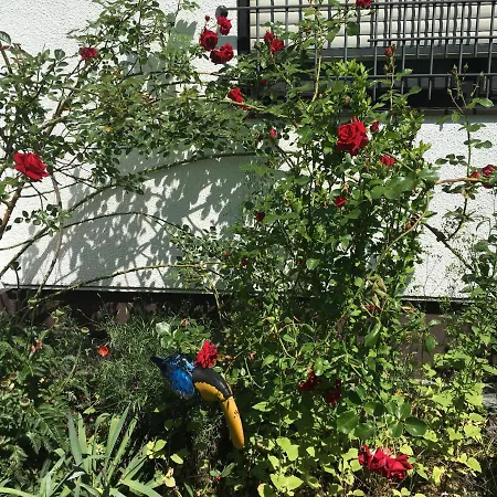 Lägenhet Vor Den Toren Bambergs - Einfamilienhaus Mit Garten! Viereth-Trunstadt