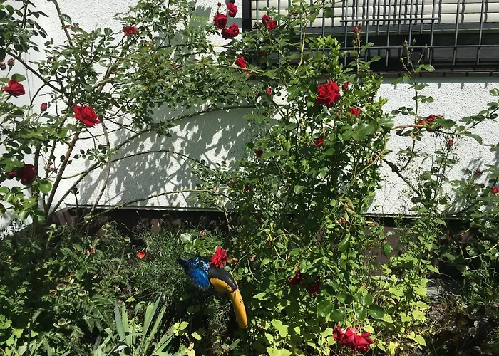 Apartment Vor Den Toren Bambergs - Einfamilienhaus Mit Garten! Viereth-Trunstadt